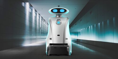 狮之守护 LionsBot清洁机器人的专业设计服务，重塑清洁新体验